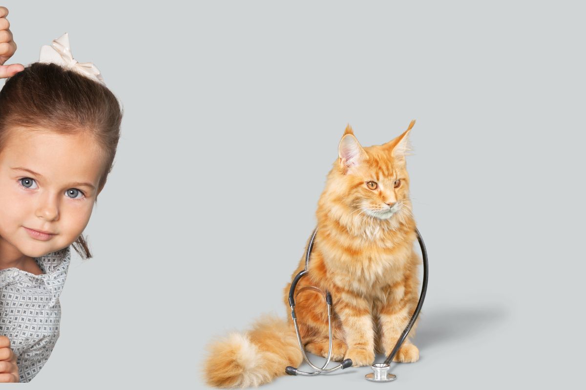 Quel est le prix d'une biopsie pour un chat?